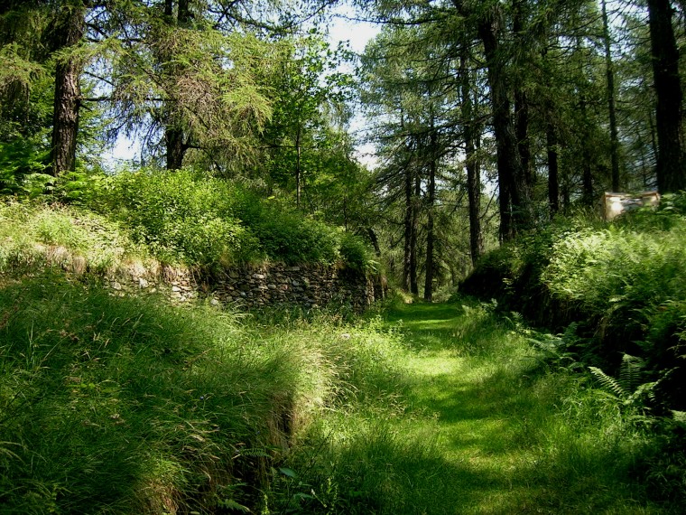 Ecomuseo della Valvarrone
